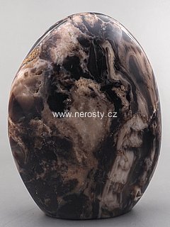 petrified wood