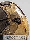 septaria