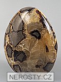 septaria